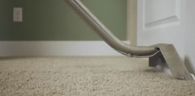 carpet water extraction