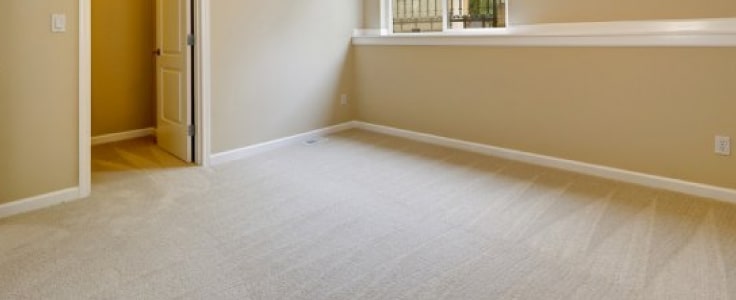 end of lease carpet cleaning tweed heads