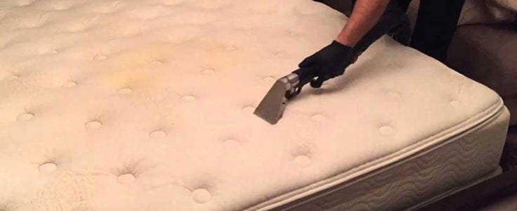 mattress cleaning tweed heads
