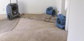 wet carpet drying